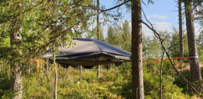 Sydåbacka Tentsile-puumajoitus Kirkkonummi